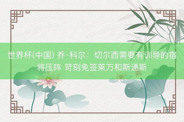 世界杯(中国) 乔·科尔：切尔西需要有训导的宿将压阵 苛刻免签莱万和斯通斯