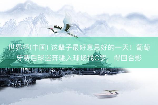 世界杯(中国) 这辈子最好意思好的一天!葡萄牙赛后球迷奔驰入球场找C罗,得回合影