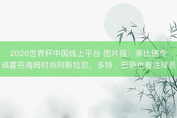 2026世界杯中国线上平台 图片报:莱比锡专诚霍芬海姆时尚阿斯拉尼,多特、巴萨也眷注球员