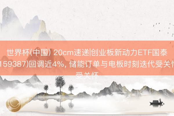 世界杯(中国) 20cm速递|创业板新动力ETF国泰(159387)回调近4%， 储能订单与电板时刻迭代受关怀