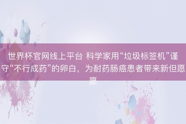 世界杯官网线上平台 科学家用“垃圾标签机”谨守“不行成药”的卵白，为耐药肠癌患者带来新但愿