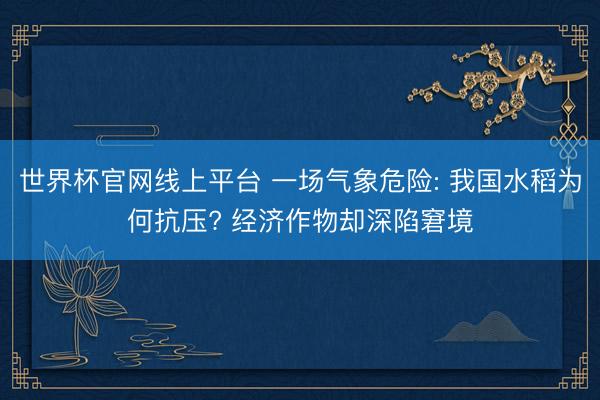 世界杯官网线上平台 一场气象危险: 我国水稻为何抗压? 经济作物却深陷窘境