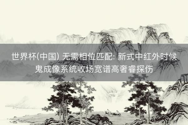 世界杯(中国) 无需相位匹配: 新式中红外时候鬼成像系统收场宽谱高奢睿探伤
