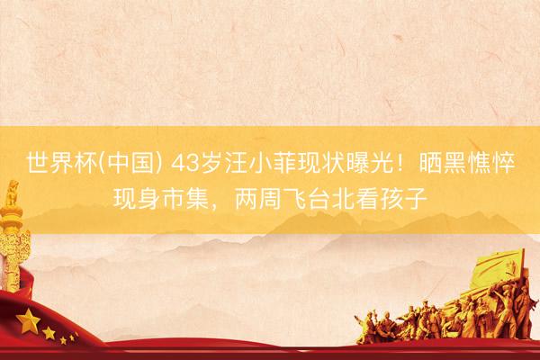 世界杯(中国) 43岁汪小菲现状曝光！晒黑憔悴现身市集，两周飞台北看孩子