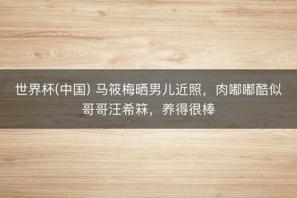 世界杯(中国) 马筱梅晒男儿近照，肉嘟嘟酷似哥哥汪希箖，养得很棒