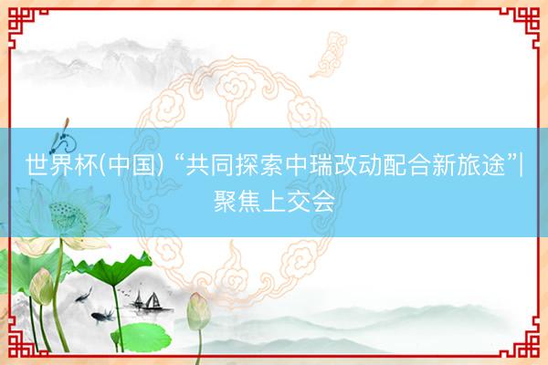 世界杯(中国) “共同探索中瑞改动配合新旅途”|聚焦上交会