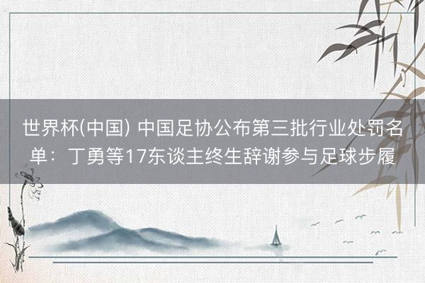 世界杯(中国) 中国足协公布第三批行业处罚名单：丁勇等17东谈主终生辞谢参与足球步履