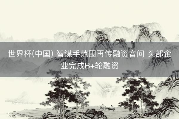 世界杯(中国) 智谋手范围再传融资音问 头部企业完成B+轮融资