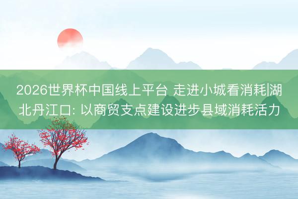2026世界杯中国线上平台 走进小城看消耗|湖北丹江口: 以商贸支点建设进步县域消耗活力