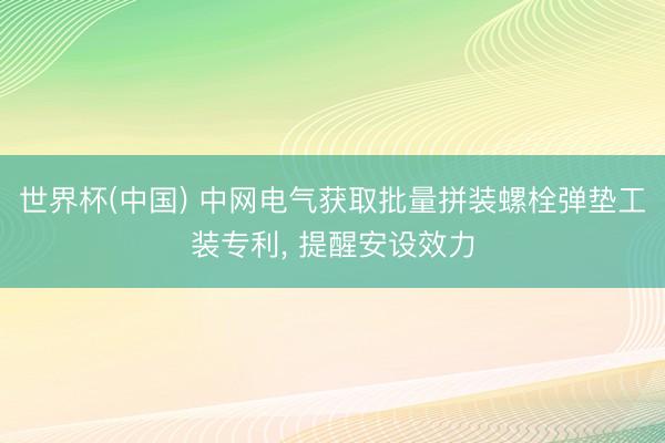 世界杯(中国) 中网电气获取批量拼装螺栓弹垫工装专利， 提醒安设效力