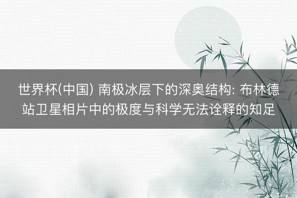 世界杯(中国) 南极冰层下的深奥结构: 布林德站卫星相片中的极度与科学无法诠释的知足
